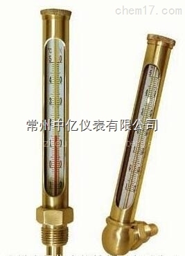 WNY-11銅(tóng)金屬套(tao)溫度計(jì)廠家