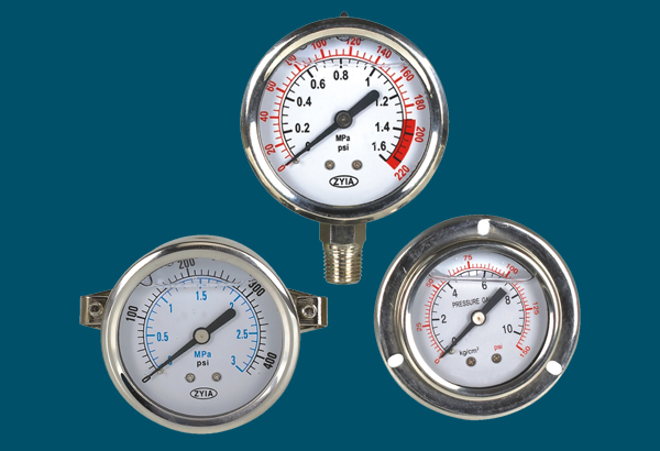 耐(nai)震壓力表