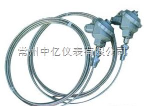 中億铠裝(zhuang)熱電偶