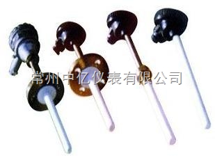 高溫(wen)防腐熱電(diàn)偶