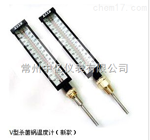 XY-020闆式殺(sha)菌鍋溫度計廠家(jia)